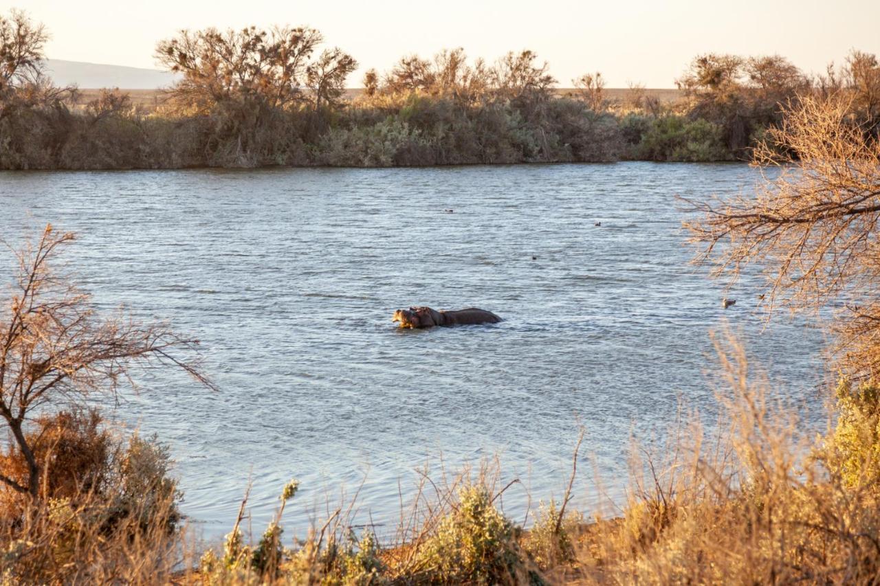 Inverdoorn Game Reserve Lodge Breede River Exterior foto