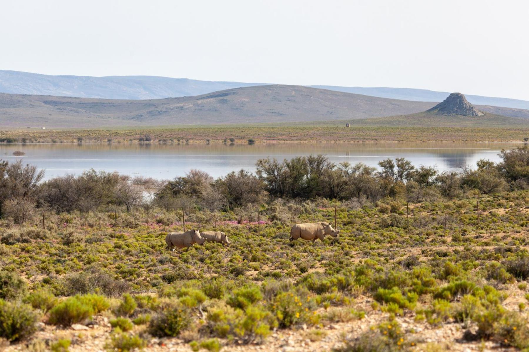 Inverdoorn Game Reserve Lodge Breede River Exterior foto